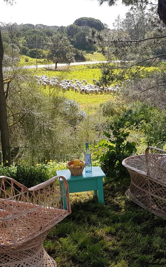 Romance Valdareina, Piscine Chauffee, Benagil-Carvoeiro カルヴォエイロ エクステリア 写真