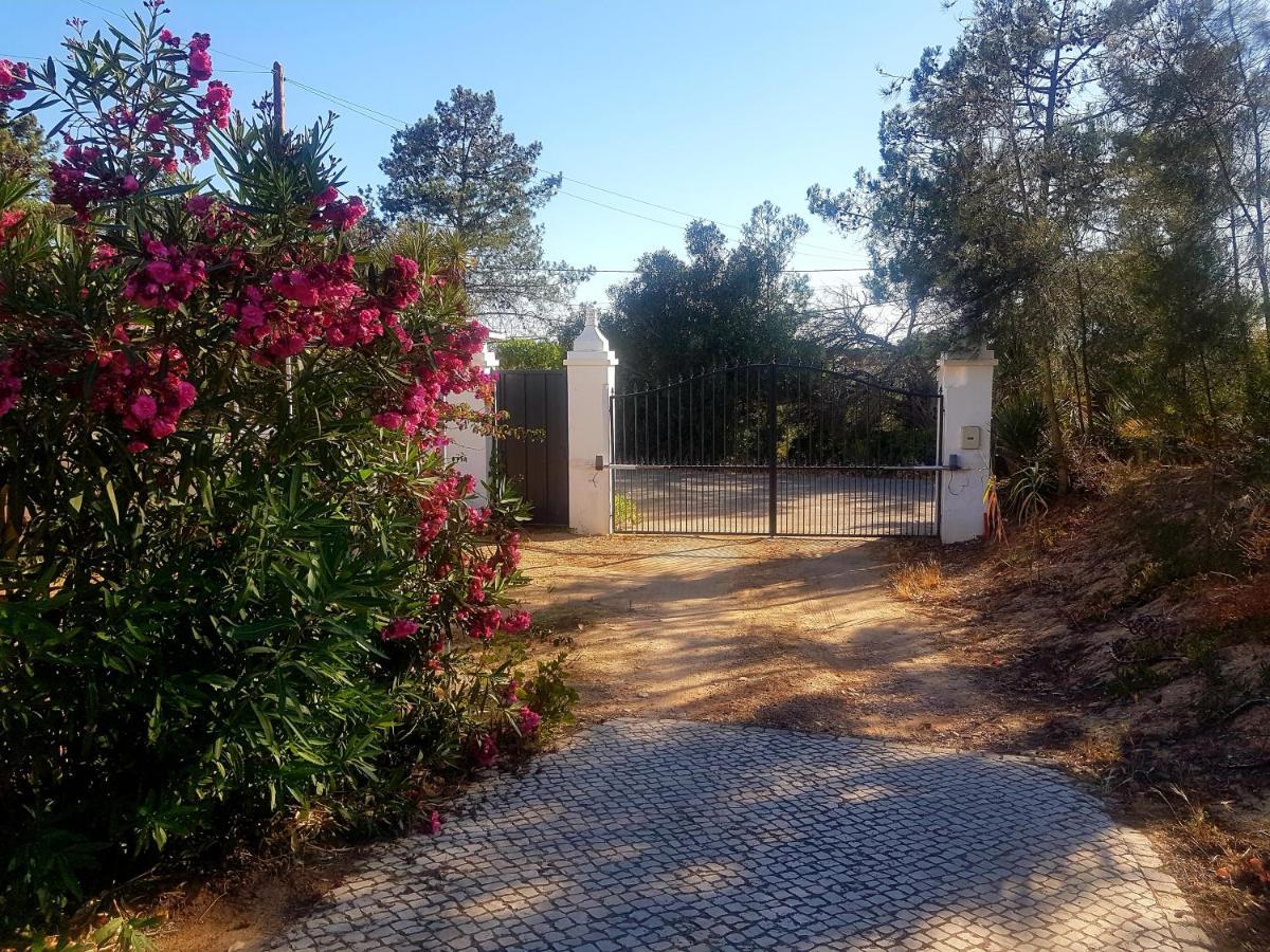 Romance Valdareina, Piscine Chauffee, Benagil-Carvoeiro カルヴォエイロ エクステリア 写真